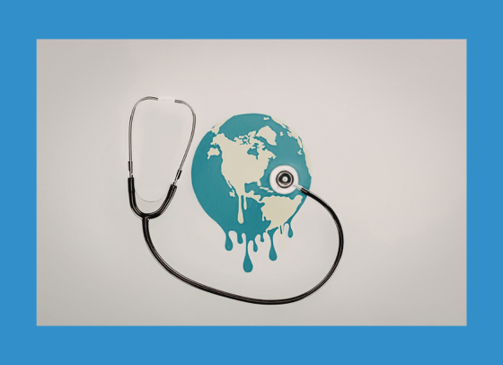 4) Réponse aux Situations Sanitaires Exceptionnelles