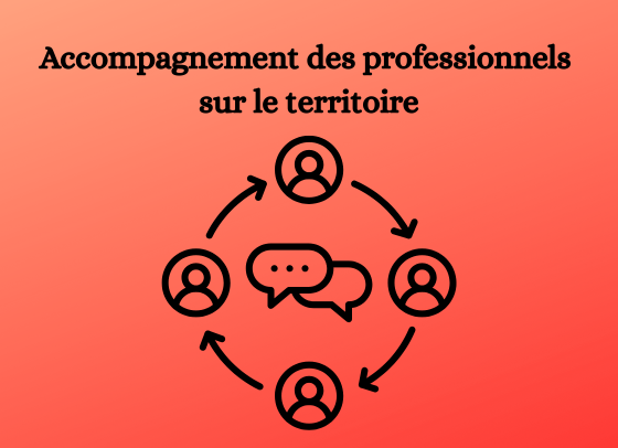Accompagnement des professionnels sur le territoire 