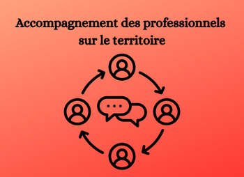 Accompagnement des professionnels sur le territoire 