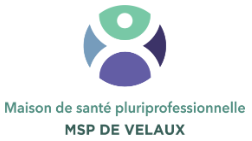 logo MSP Velaux