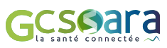logo GCS Sara