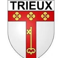 logo ville de Trieux